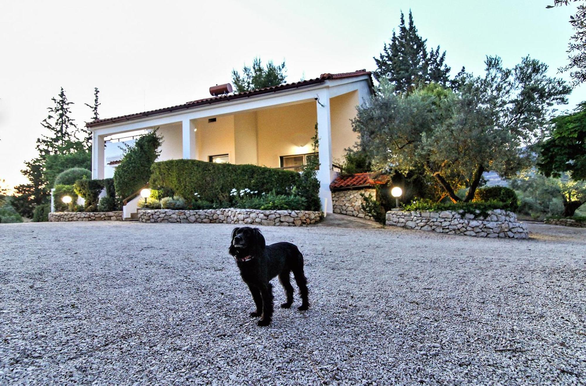 Villa Korina Metochi  Exterior foto